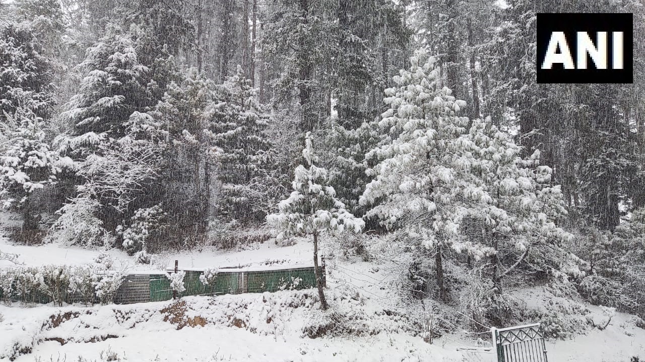 जिला शिमला हिमाचल प्रदेश में ताजा हिमपात (snowfall)